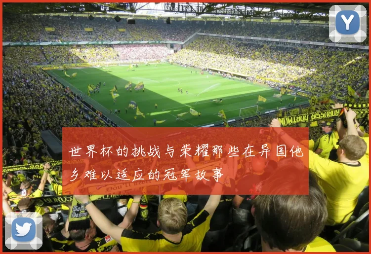 世界杯的挑战与荣耀那些在异国他乡难以适应的冠军故事