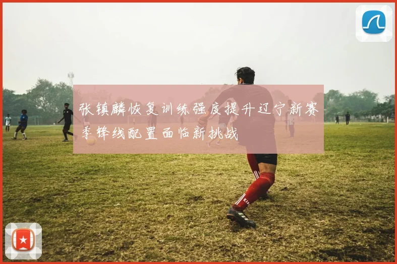 张镇麟恢复训练强度提升辽宁新赛季锋线配置面临新挑战