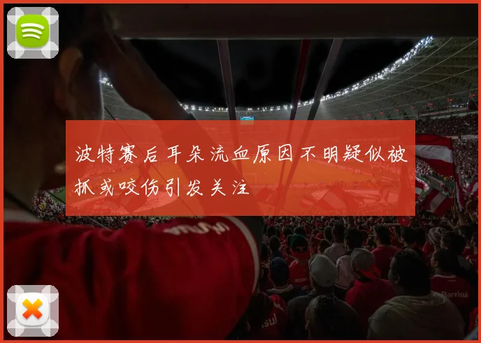 波特赛后耳朵流血原因不明疑似被抓或咬伤引发关注